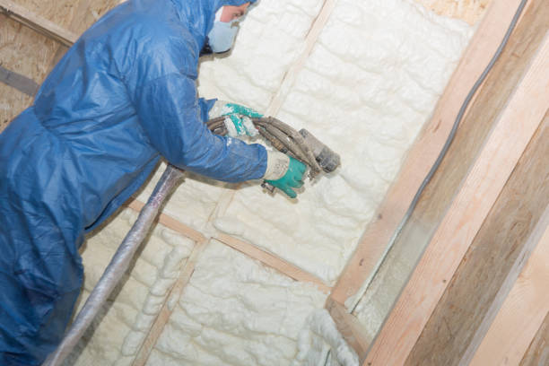 Trusted Lake Mary, FL Foam Insulation Services Experts